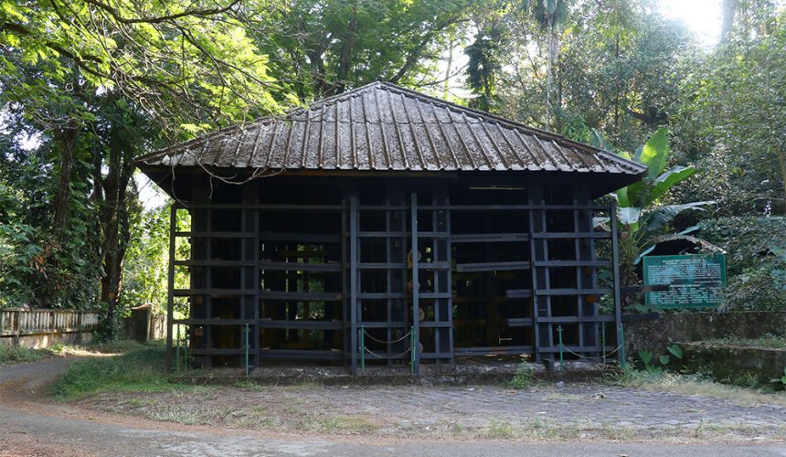 elephant pass ayurveda resort