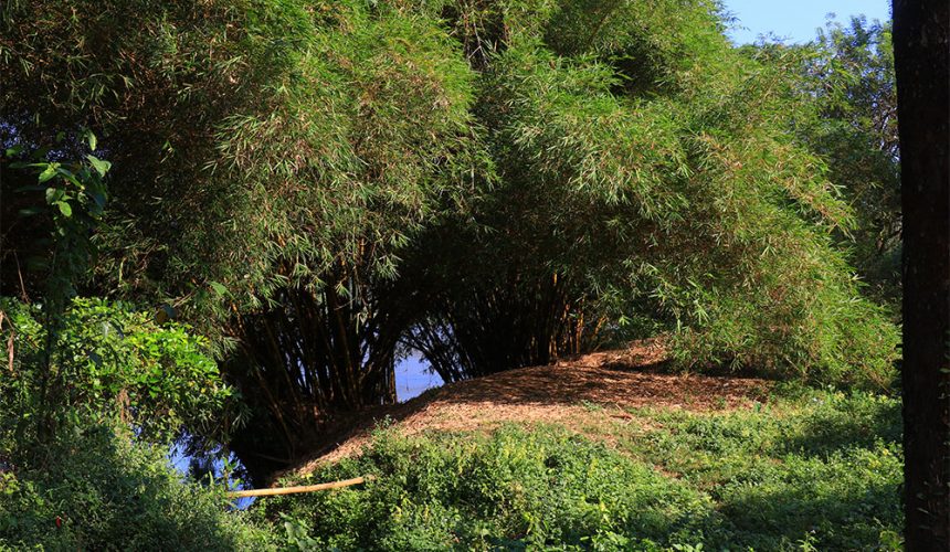 river front ayurveda resort in kerala