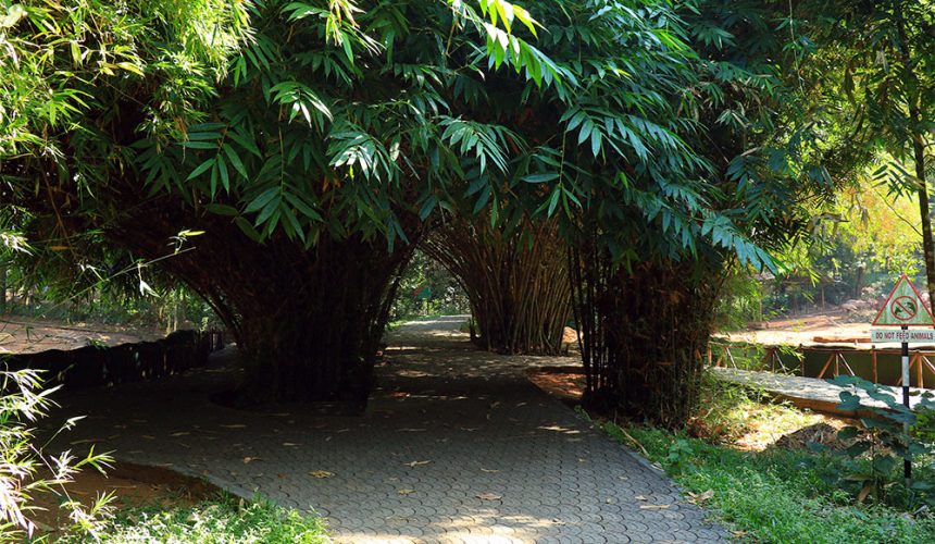 Ayurveda health resort in Kerala