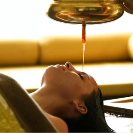 elephant pass ayurveda and yoga retreat resort kerala treatment image